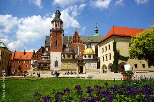 Board z aluminiowym obramowaniem Katedra wawel, wzgórze wawel w krakowie