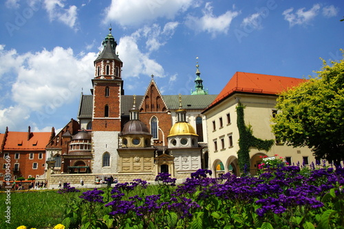 Board z aluminiowym obramowaniem Katedra wawel, wzgórze wawel w krakowie