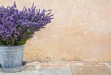 Bouquet Of Lavender In A Metal Bucket