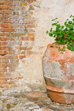 Rustic Old Flower Pot By A Brickwall
