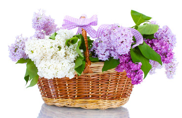 Sticker - beautiful lilac flowers in basket isolated on white