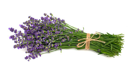 Wall Mural - lavender isolated on white background