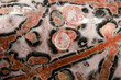 Detail Leoparden Jaspis (jasper)