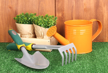 Wall Mural - Gardening tools on wooden background