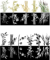 Sticker - bamboo collection on white and black background