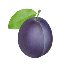 Wall Mural - Plum on a white background