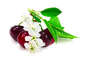 Wall Mural - Cherry with leafs and flowers