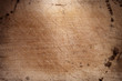 © Elena Moiseeva - naturally old  wooden background