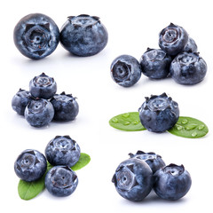 Wall Mural - Collection of Blueberries isolated on white background