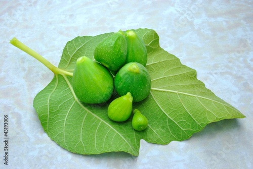 Foglia Di Fico Con Fichi Buy This Stock Photo And Explore Similar Images At Adobe Stock Adobe Stock