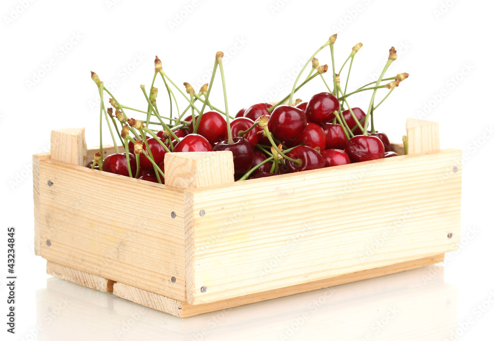 Ripe cherry berries in crate isolated on white