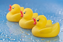 Rubber Duckies In A Row