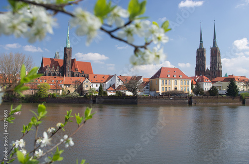 Obraz w ramie Wrocław Ostrów Tumski