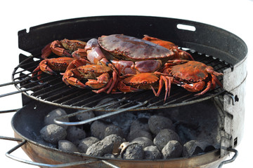 Wall Mural - crab on charcoal grill