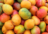 Fototapeta  - ripe mango fruit