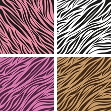 Pattern Of Animal Print