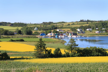 Wall Mural - P.E.I. summer landscape