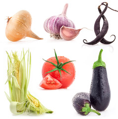 Wall Mural - Collection of vegetables with a light shadows isolated on white