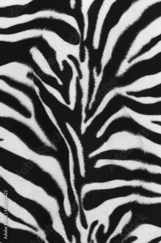 Naklejka dekoracyjna Background of zebra skin pattern