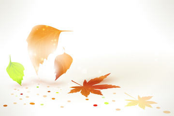 Wall Mural - Abstract Autumn leaves vector background