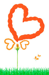 Wall Mural - beautiful yellow cosmos flower isolated on a white background.