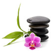 Zen pebbles balance. Spa and healthcare concept.