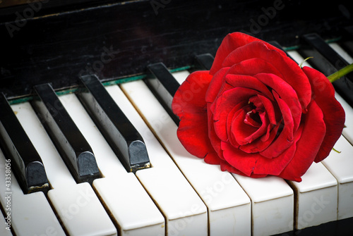 Nowoczesny obraz na płótnie piano keyboard and rose