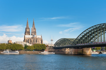 Wall Mural - View of Cologne over the Rhein