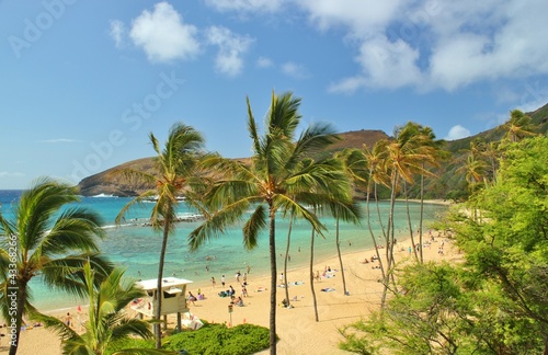 Board z aluminiowym obramowaniem Palmy hanauma bay