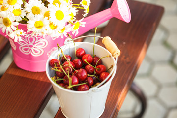 Canvas Print - Cherries outdoor