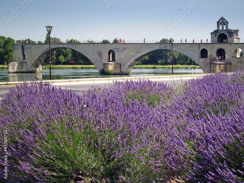 Tapeta ścienna Most Avignon