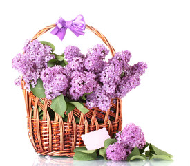 Poster - beautiful lilac flowers in basket isolated on white