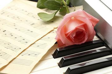 Poster - background of piano keyboard with rose