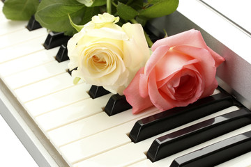 Poster - background of piano keyboard with roses