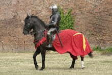 Knight On Horse