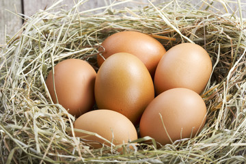 brown eggs