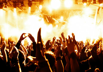 Poster - cheering crowd at concert