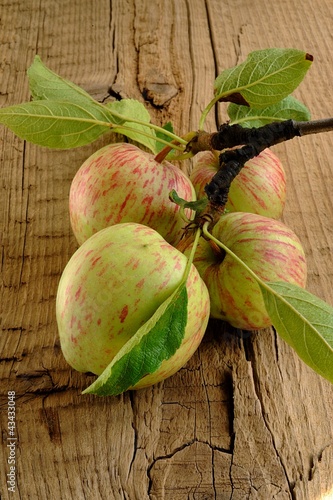 Naklejka dekoracyjna Jabłko na stole