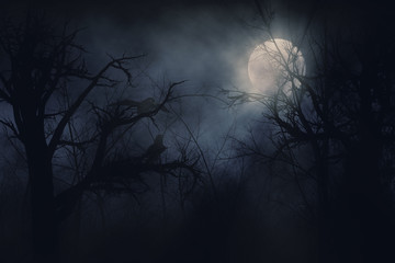 night ravens