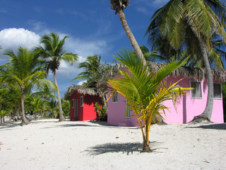 Sticker - Colorful Caribbean houses tropical vivid colors