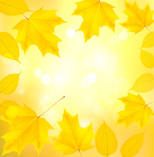 Autumn Background With Yellow Leaves. Vector