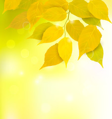 Aufkleber - Autumn background with leaves