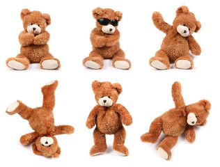 teddy bears in different poses on white background