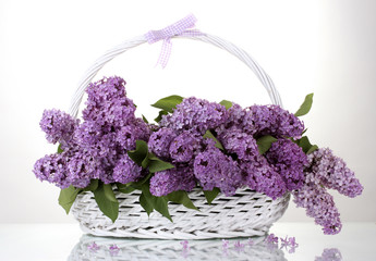 Sticker - beautiful lilac flowers in basket isolated on white