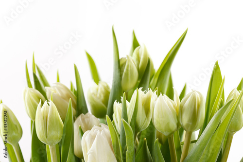 Dekoracja na wymiar  ladne-tulipany