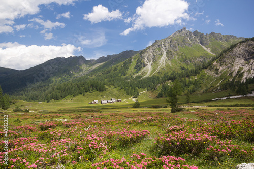 Plakat na papierze fotorealistycznym Ursprungalm koło Schladming w Austrii
