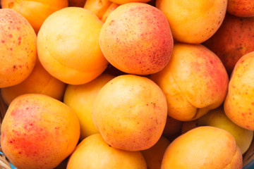 Wall Mural - Apricots