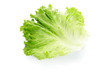 Green salad leaf on white, clipping path included