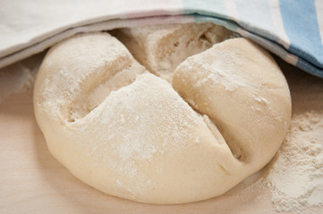 dough with plain flour _ pasta lievitata con lievito naturale