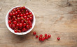 bowl of red currant berries